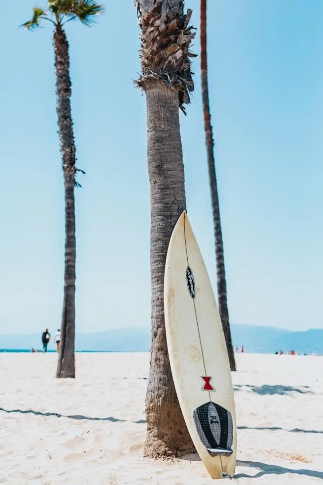 A surfboard leaning against a tree