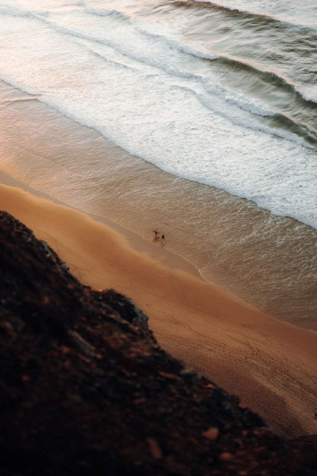 2 surfers walking along a beach in autumn